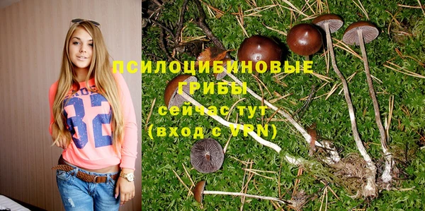 ECSTASY Медногорск