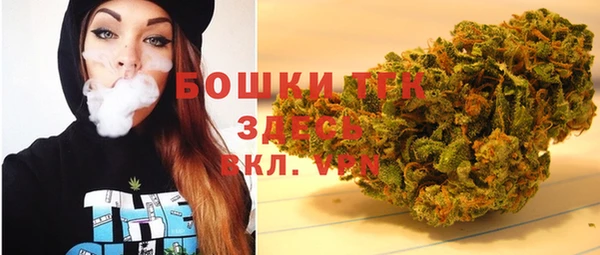 ECSTASY Медногорск